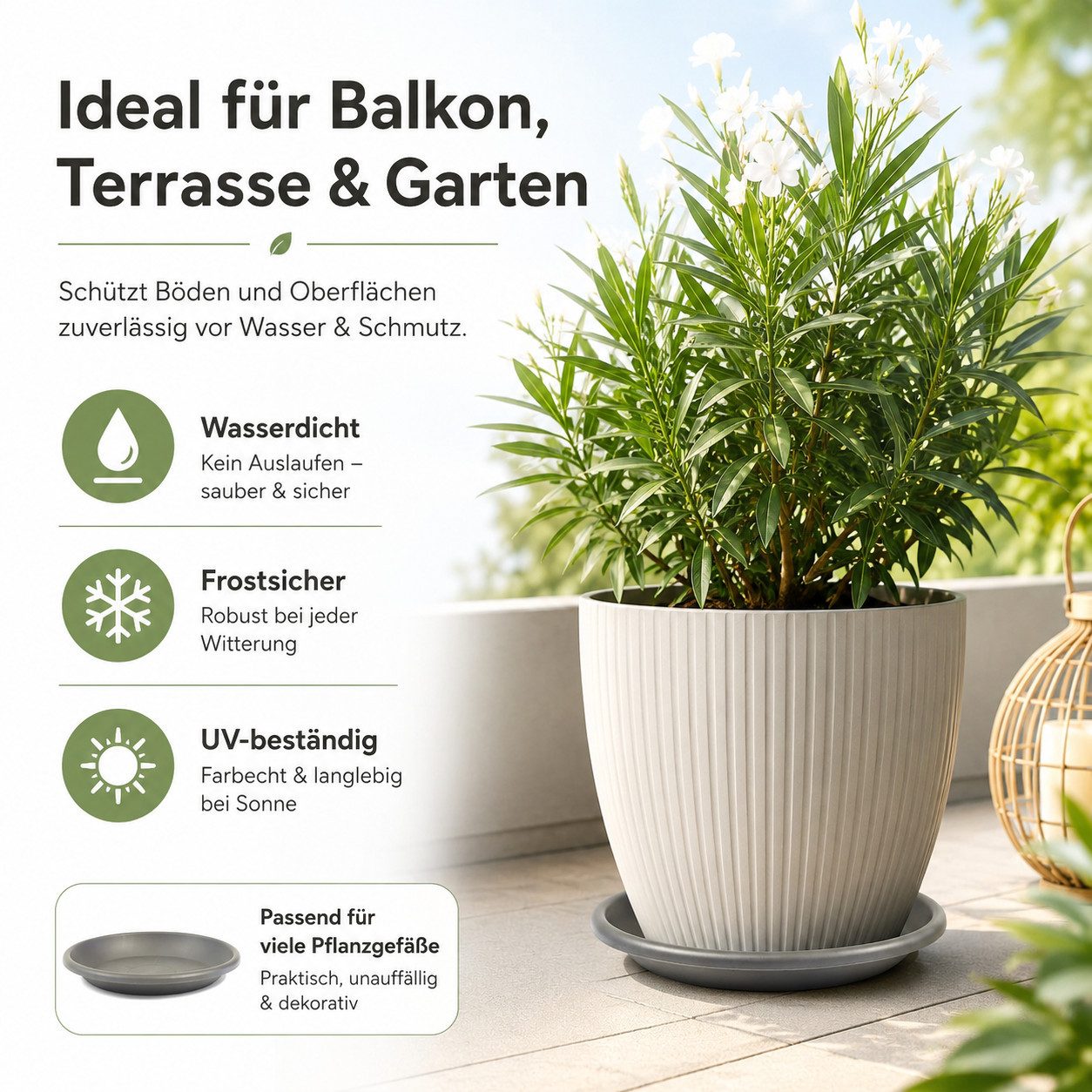 Testrut Blumentopfuntersetzer Blumentopf Untersetzer anthrazit robust für saubere Flächen, Zubehör für Pflanztopf Fiona