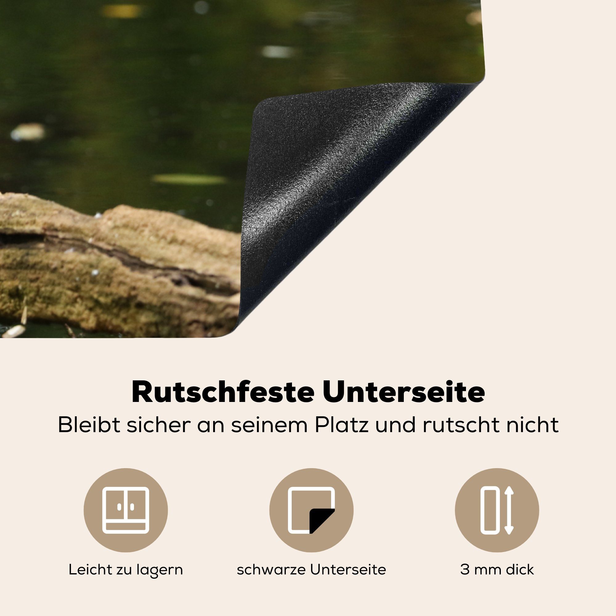 Arbeitsfläche 70x52 Tiere tlg), Vinyl, Wasser nutzbar, Zweig Kormoran, (1 - Vogel - - - Herdblende-/Abdeckplatte cm, MuchoWow Ceranfeldabdeckung Mobile