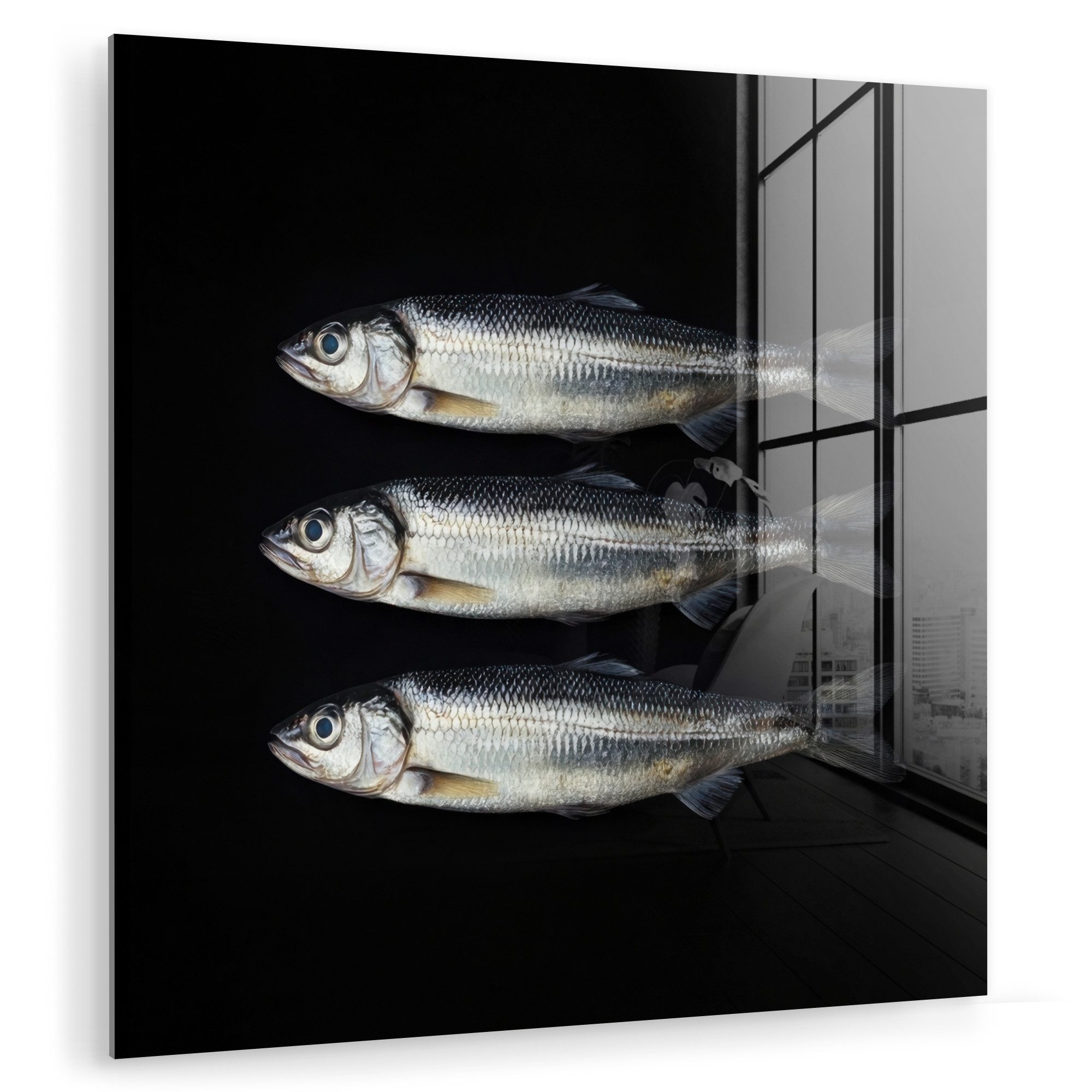 MuchoWow Acrylglasbild Hering - Fisch - günstig online kaufen