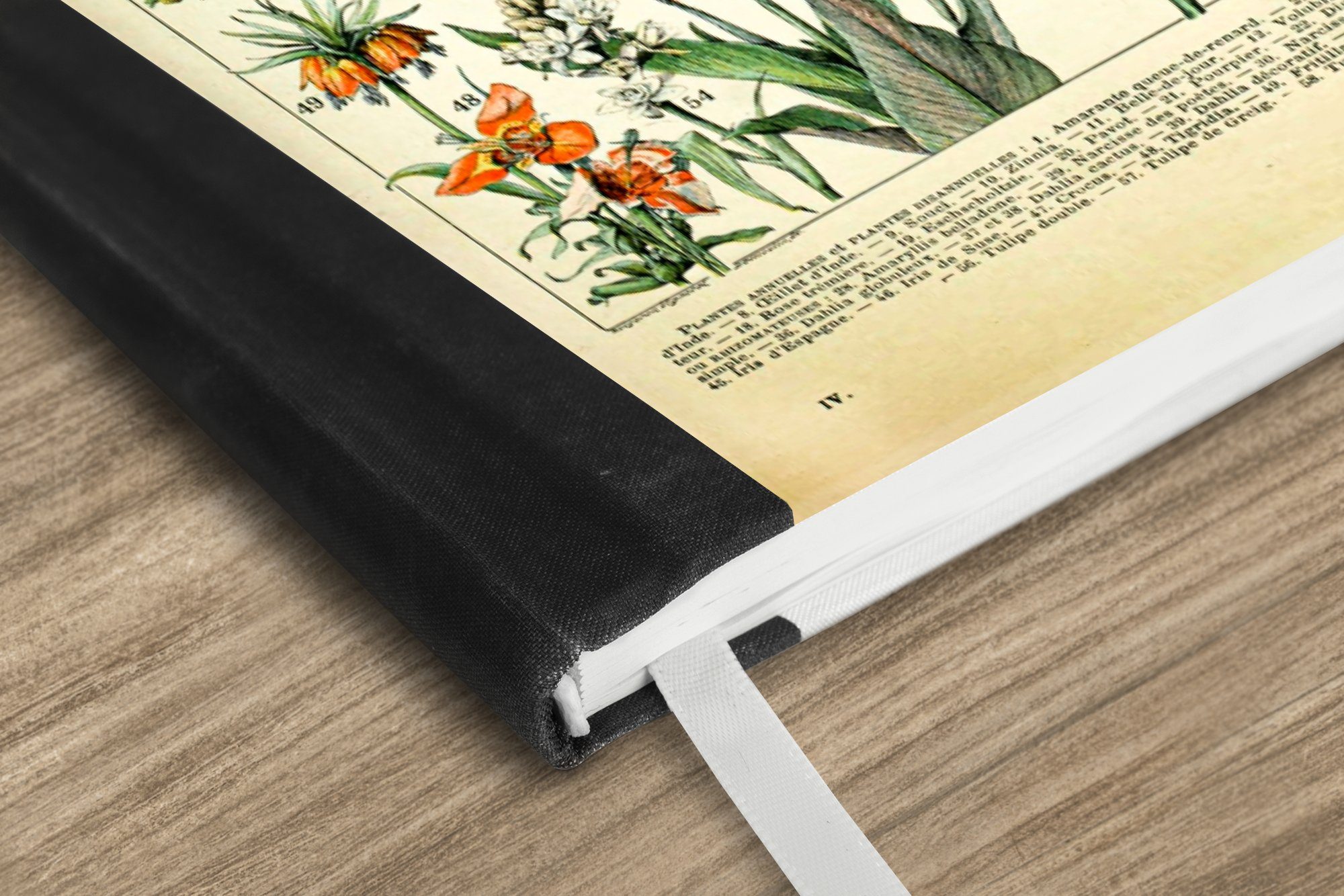 Adolphe Seiten, Pflanzen - - Haushaltsbuch Millot Blumen - Vintage - 98 Notizheft, MuchoWow Kunst, Merkzettel, Tagebuch, A5, Notizbuch Journal,
