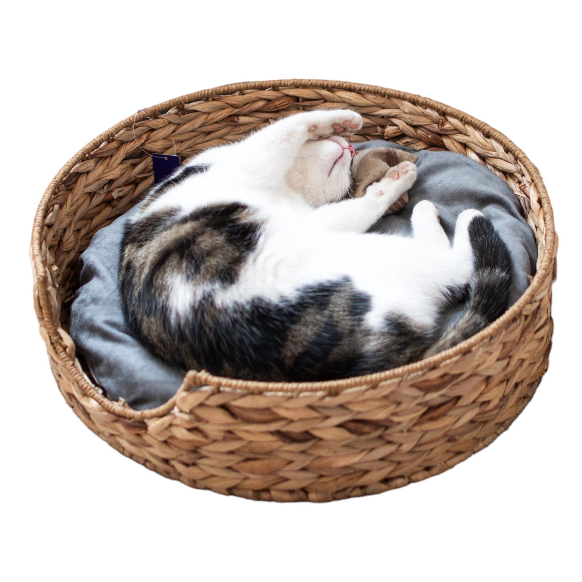 UNUS ANIMALS Tierkorb Haustierkorb rund natur kleiner Korb mit Kissen, Hundebett, Hunde-Couch, Haustierbett, Körbchen, Katzenkorb, Katzenbett