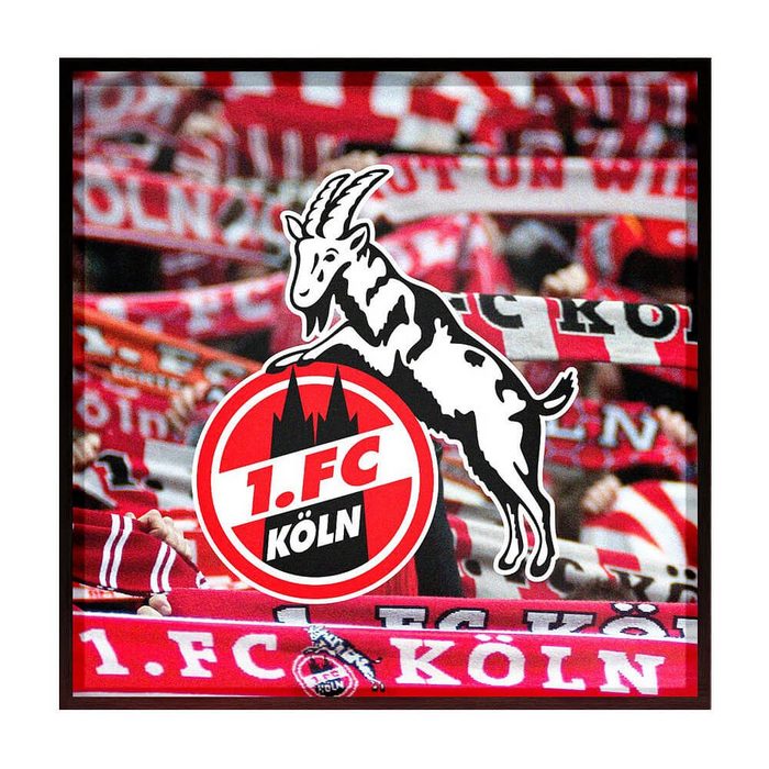 1. FC Köln Bild mit Rahmen 1. FC Köln LED-Leuchtbild im Rahmen "Schals" Schals