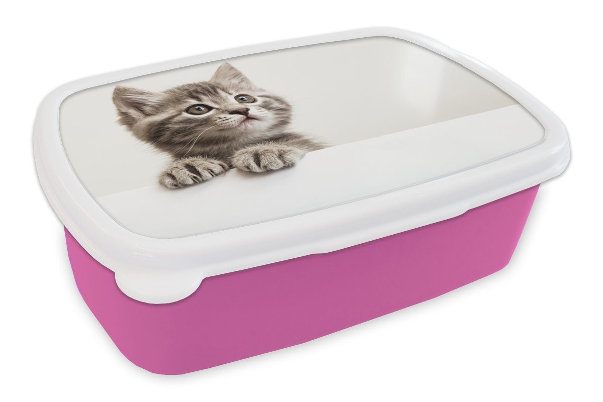 MuchoWow Lunchbox Katze - Grau - Tiere, Kunststoff, (2-tlg), Brotbox für Erwachsene, Brotdose Kinder, Snackbox, Mädchen, Kunststoff rosa