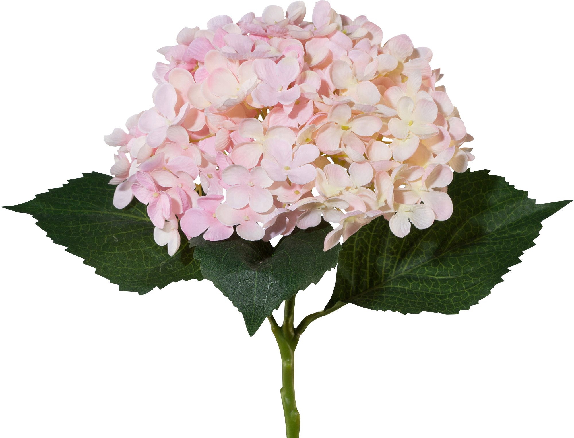 Kunstpflanze Kunstpflanze Hortensie