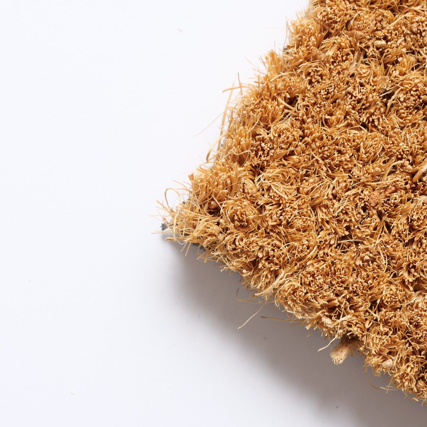 BOLTZE Fußmatte Fußmatte aus Kokos 60x40 cm Aufschrift Moin Kokosmatte Türv günstig online kaufen