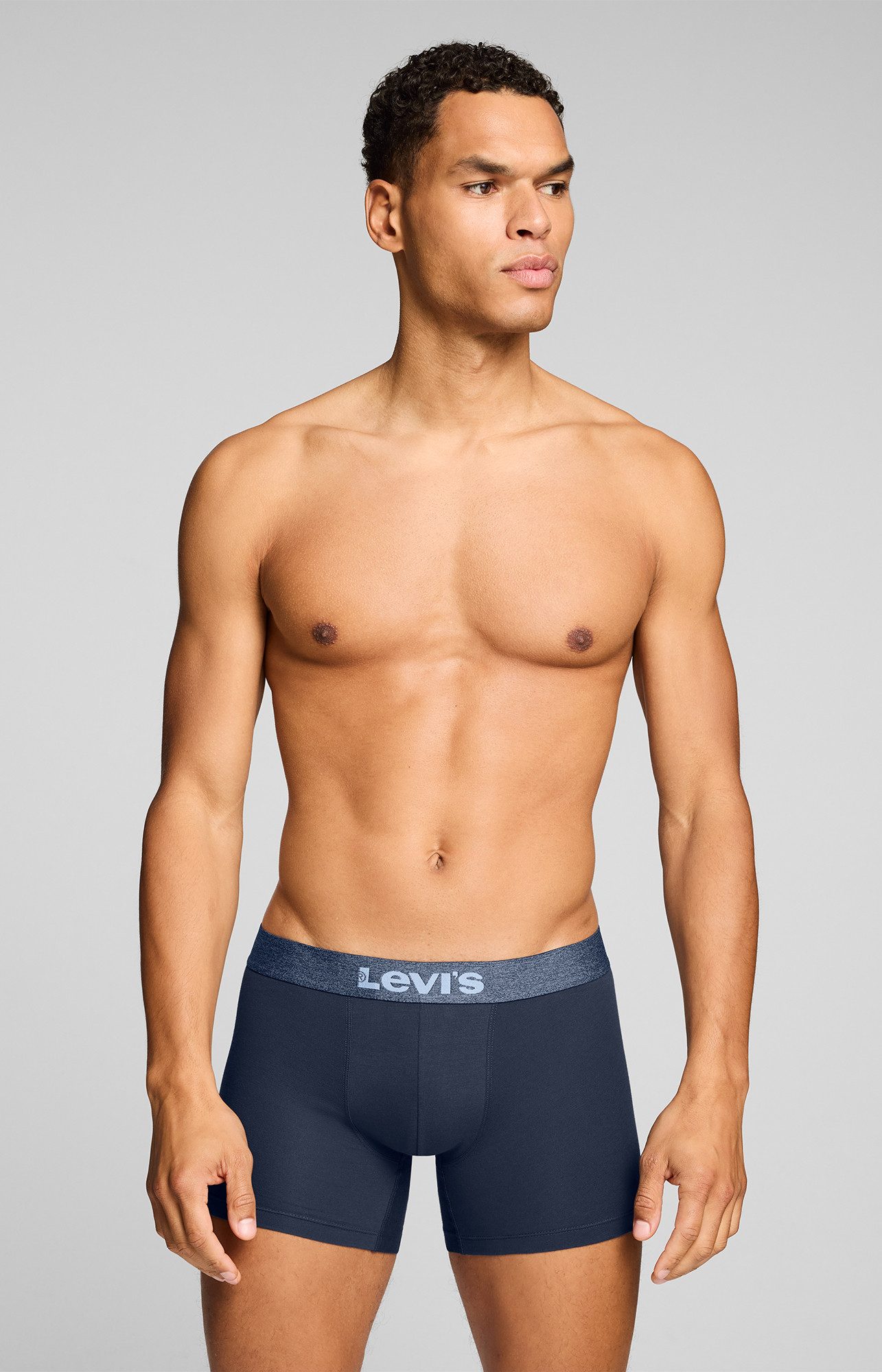 Levi's® Boxer LEVIS MEN MEL WB BOXER BRIEF (3er Pack) ohne Eingriff, tonaler Logobund, elastisch, Cotton-Mix