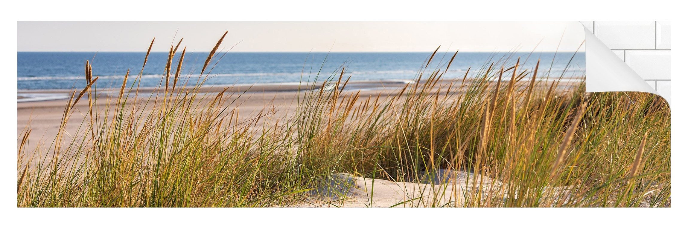 Bilderdepot24 Küchenrückwand beige dekor Natur Strand günstig online kaufen