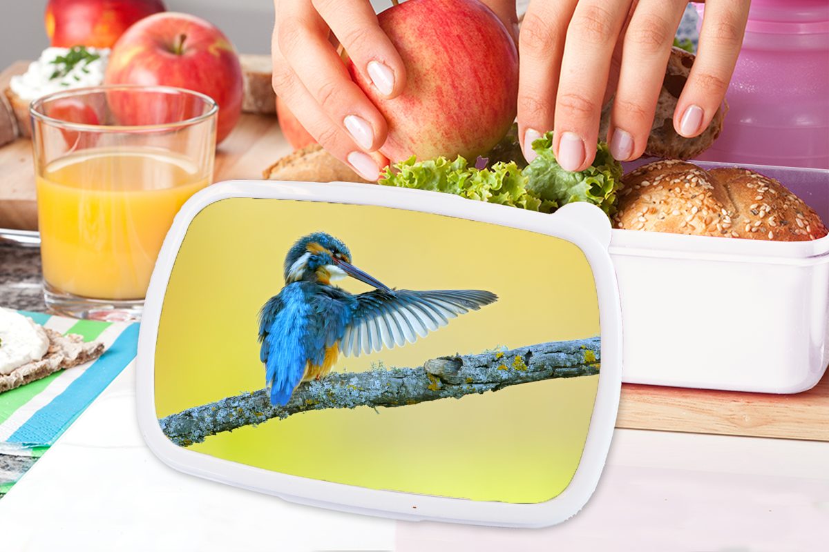 MuchoWow Lunchbox Eisvogel - - Mädchen und Brotbox für Erwachsene, Kinder (2-tlg), und für Kunststoff, weiß Brotdose, Blau, Jungs Zweig