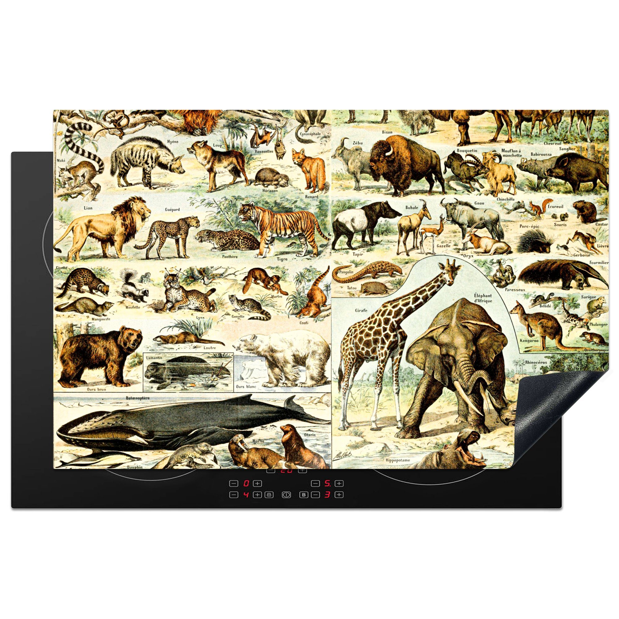 MuchoWow Herdblende-/Abdeckplatte Tiere - Giraffe - Löwe, Vinyl, (1 tlg), 81x52 cm, Induktionskochfeld Schutz für die küche, Ceranfeldabdeckung