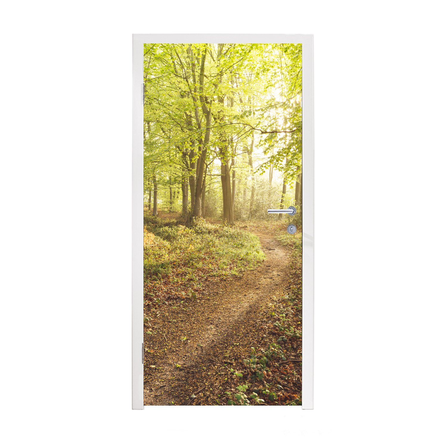 MuchoWow Türtapete Wald - Weg - Sonnenaufgang, Matt, bedruckt, (1 St), Fototapete für Tür, Türaufkleber, 75x205 cm