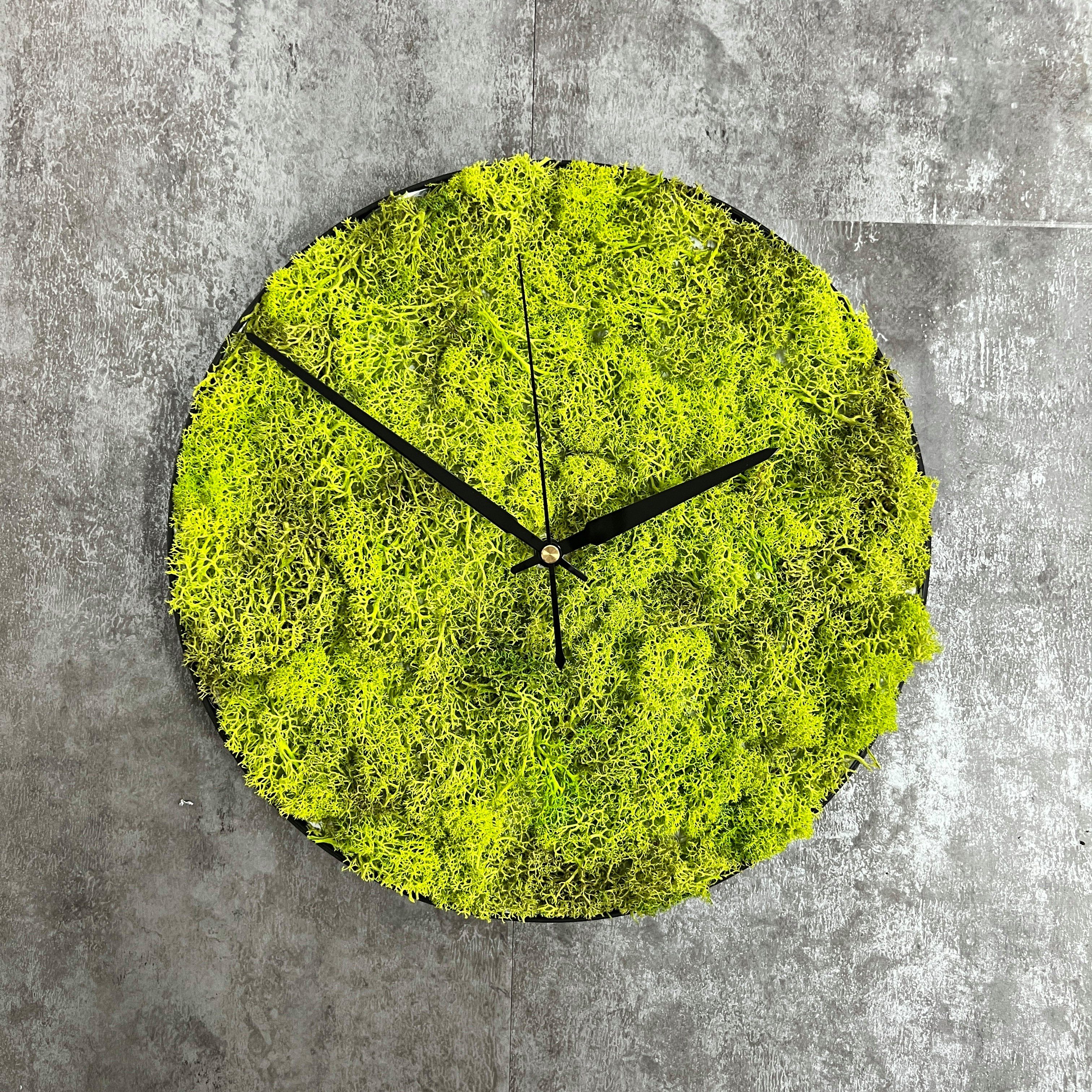 dixtime Wanduhr dixtime Islandmoos Wanduhr 30cm Durchmesser Springgrün (Imm günstig online kaufen