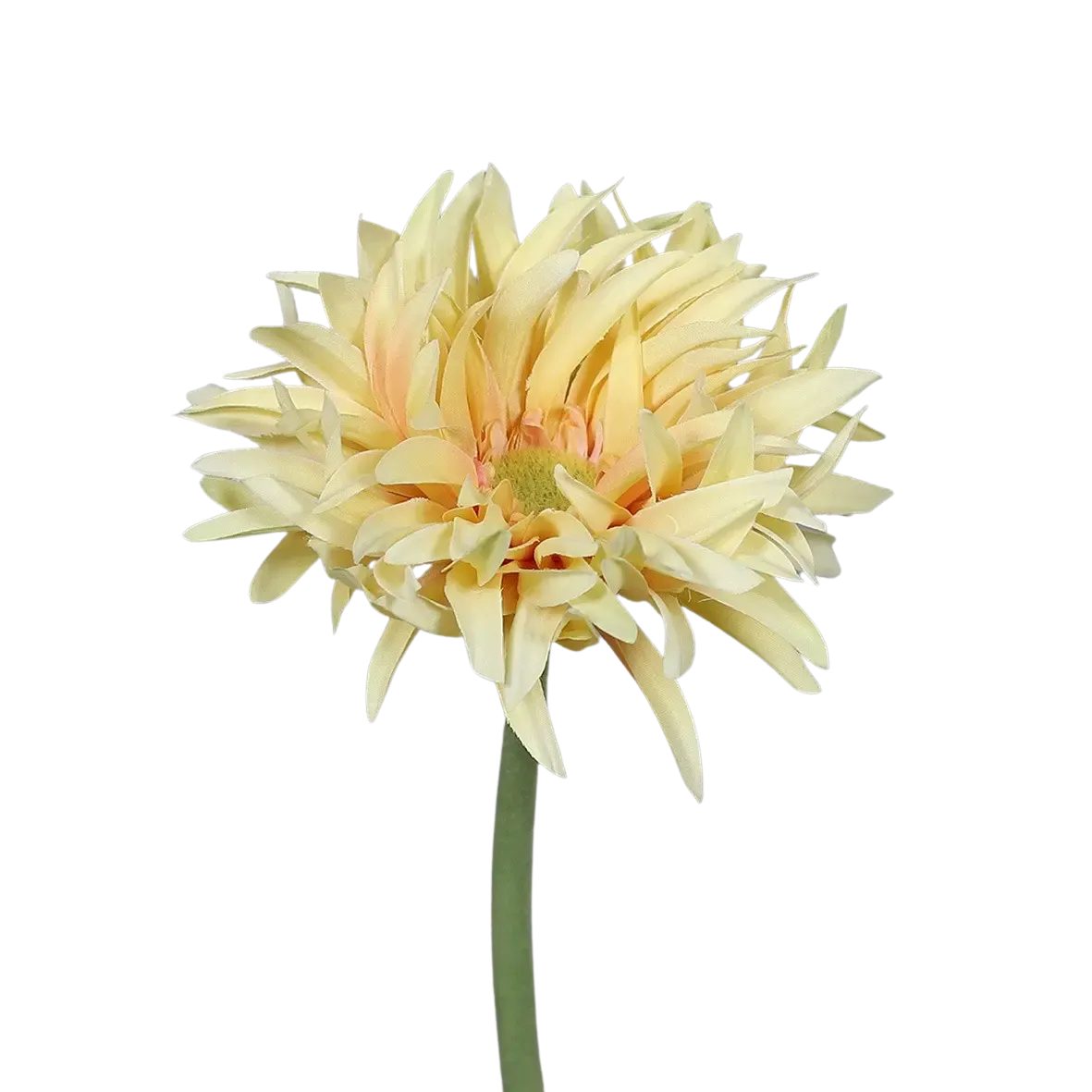 Kunstpflanze Künstliche Gerbera gefranzt - Adam, 57 cm, aplanta
