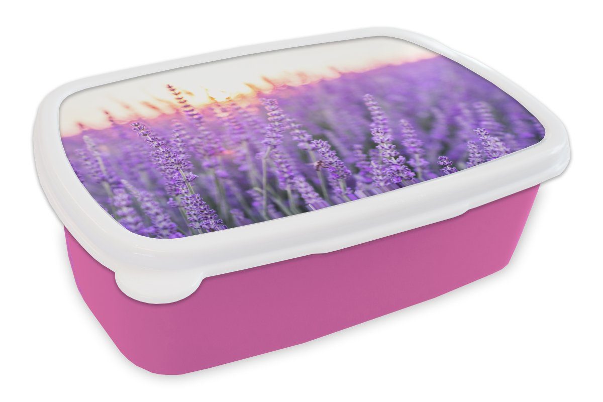 MuchoWow Lunchbox Lavendel - Nahaufnahme - Lila - Blumen, Kunststoff, (2-tlg), Brotbox für Erwachsene, Brotdose Kinder, Snackbox, Mädchen, Kunststoff rosa | Lunchboxen
