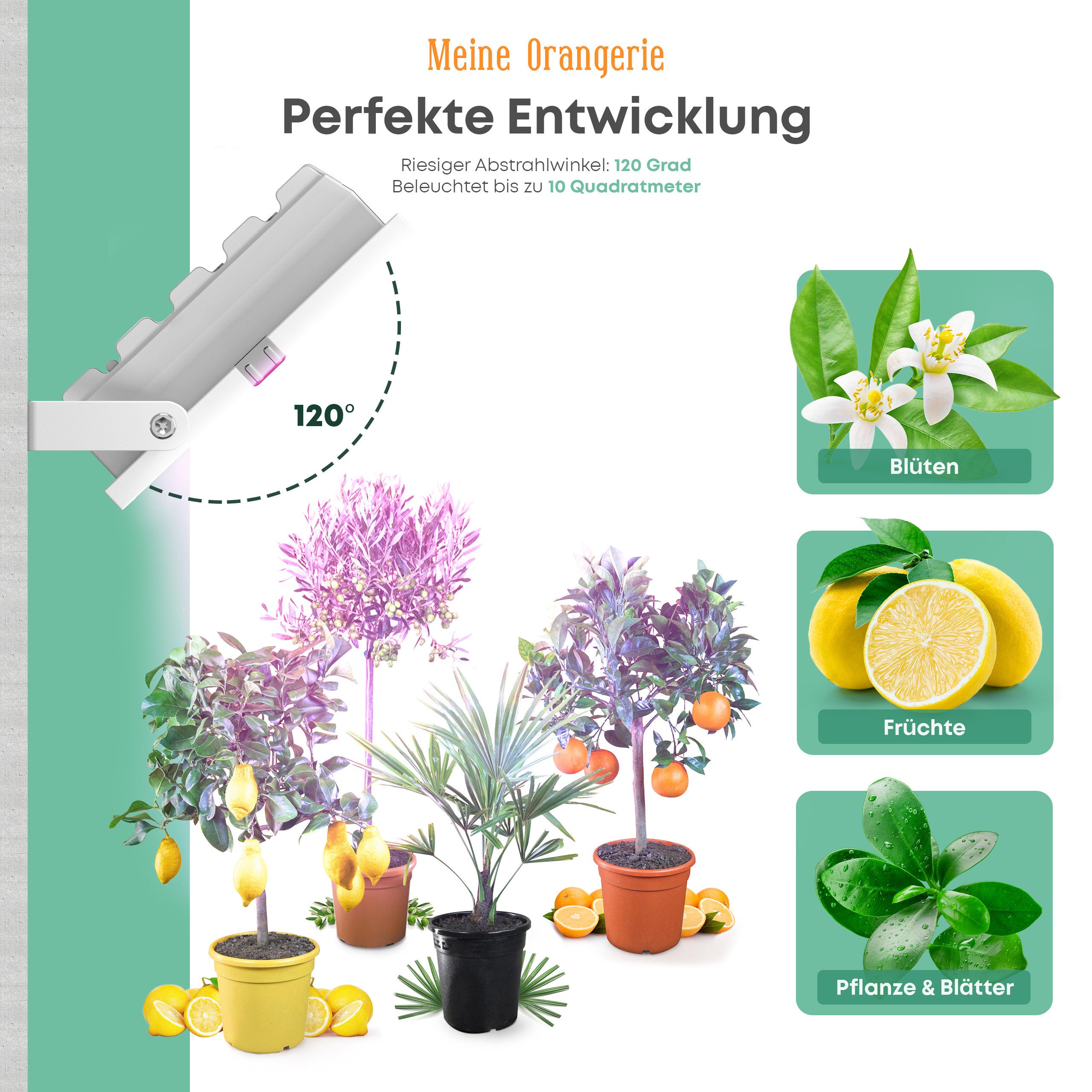 Meine Orangerie Pflanzenlampe 20W LED-Spezialleuchte zur Überwinterung von Pflanzen, LED fest integriert, 400-750nm, LED-Pflanzenlampe Speziallichtquelle
