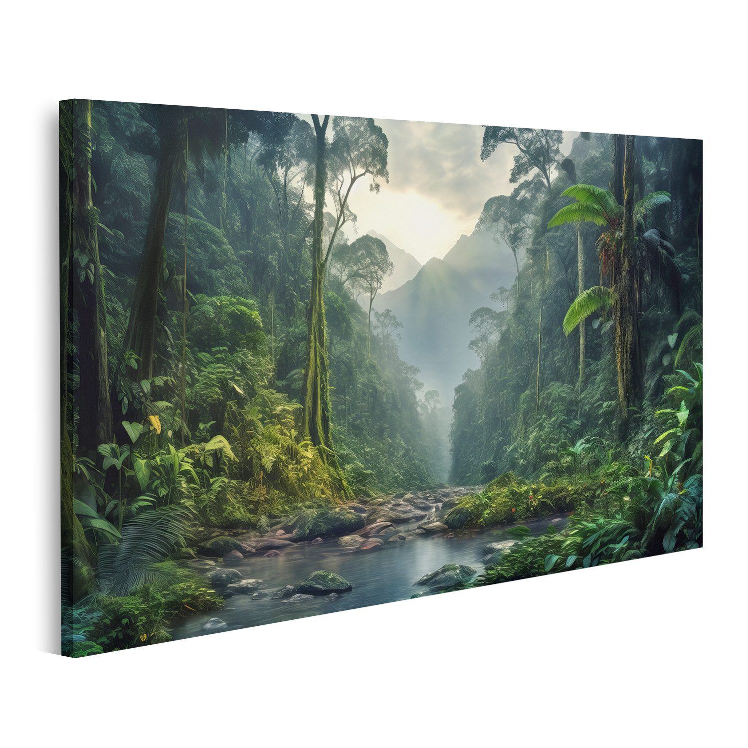 Leinwandbild Regenwald Landschaft Bäume Nebel Schön Wald Vegetation Fluss Bilder