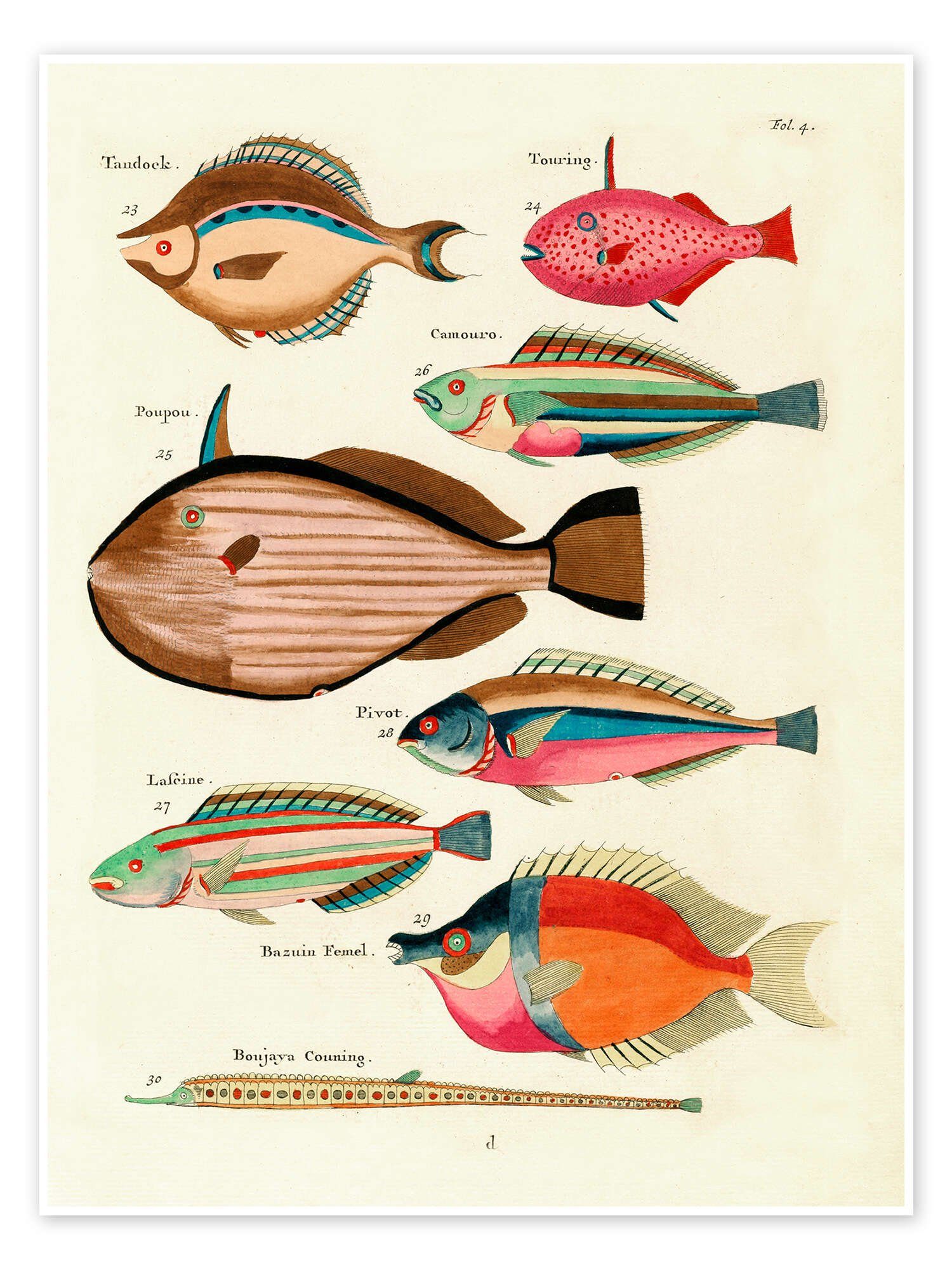 Posterlounge Wandbild Fische - Vintage Plate 27, Louis Renard, erhältlich als Poster, Leinwandbild, Wandsticker oder Acrylglasbild