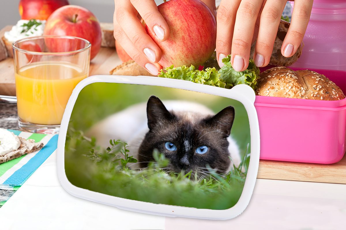 Katze Mädchen, - - Kunststoff, Kunststoff für MuchoWow Porträt, Brotdose Lunchbox Snackbox, Gras (2-tlg), Kinder, Brotbox Erwachsene, rosa