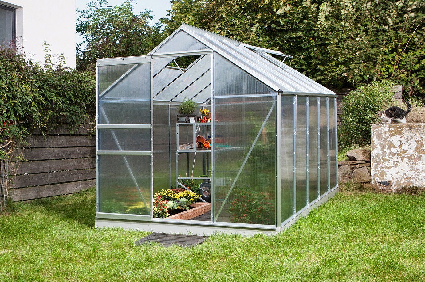 Vitavia Gewächshaus Venus 6200, BxTxH: 192 x 317 x 197 cm, 6 mm Wandstärke