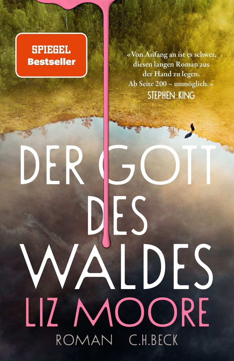 Der Gott des Waldes / Liz Moore