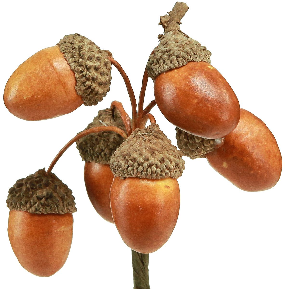 Florists Products Streudeko Künstliche Eicheln am Draht 3cm 6 Stk Herbstdeko für Kränze, 6 Stück