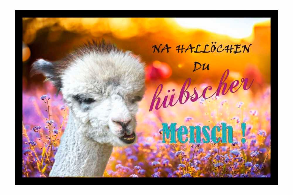 Ladreas Fußmatte Schmutzfangmatte Hallöchen Du hübscher Mensch F728, 60x40 günstig online kaufen