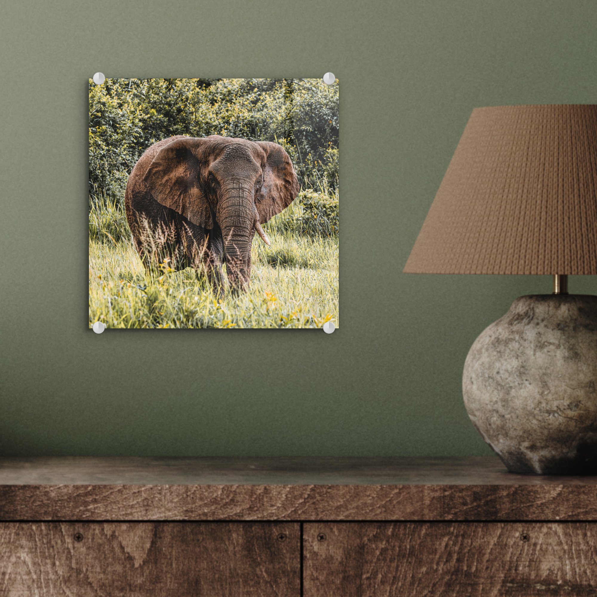 Acrylglasbild auf - Glas St), Wandbild - Bilder (1 Glasbilder MuchoWow Elefant Gras Foto - auf - Glas Natur, - Wanddekoration