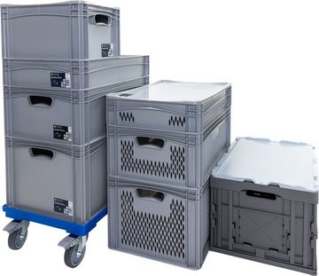 SURPLUS Aufbewahrungsbox Surplus Systems Eurobox B 60 x 40 x 12 cm, 21,4 L