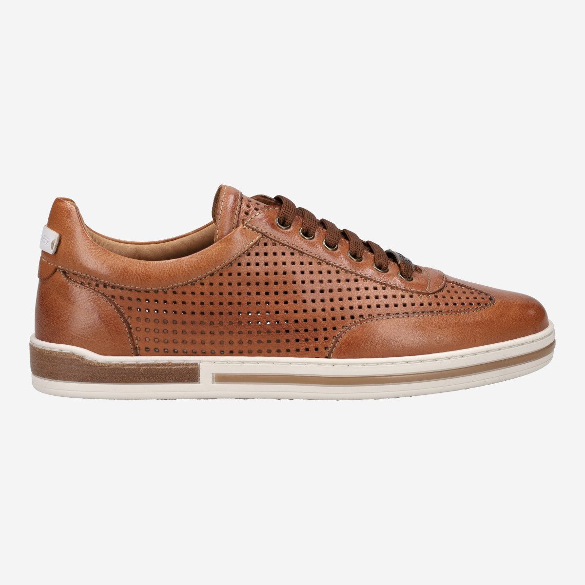 Galizio Torresi 411050 V.70468, Sneaker in Braun für Herren Sneaker