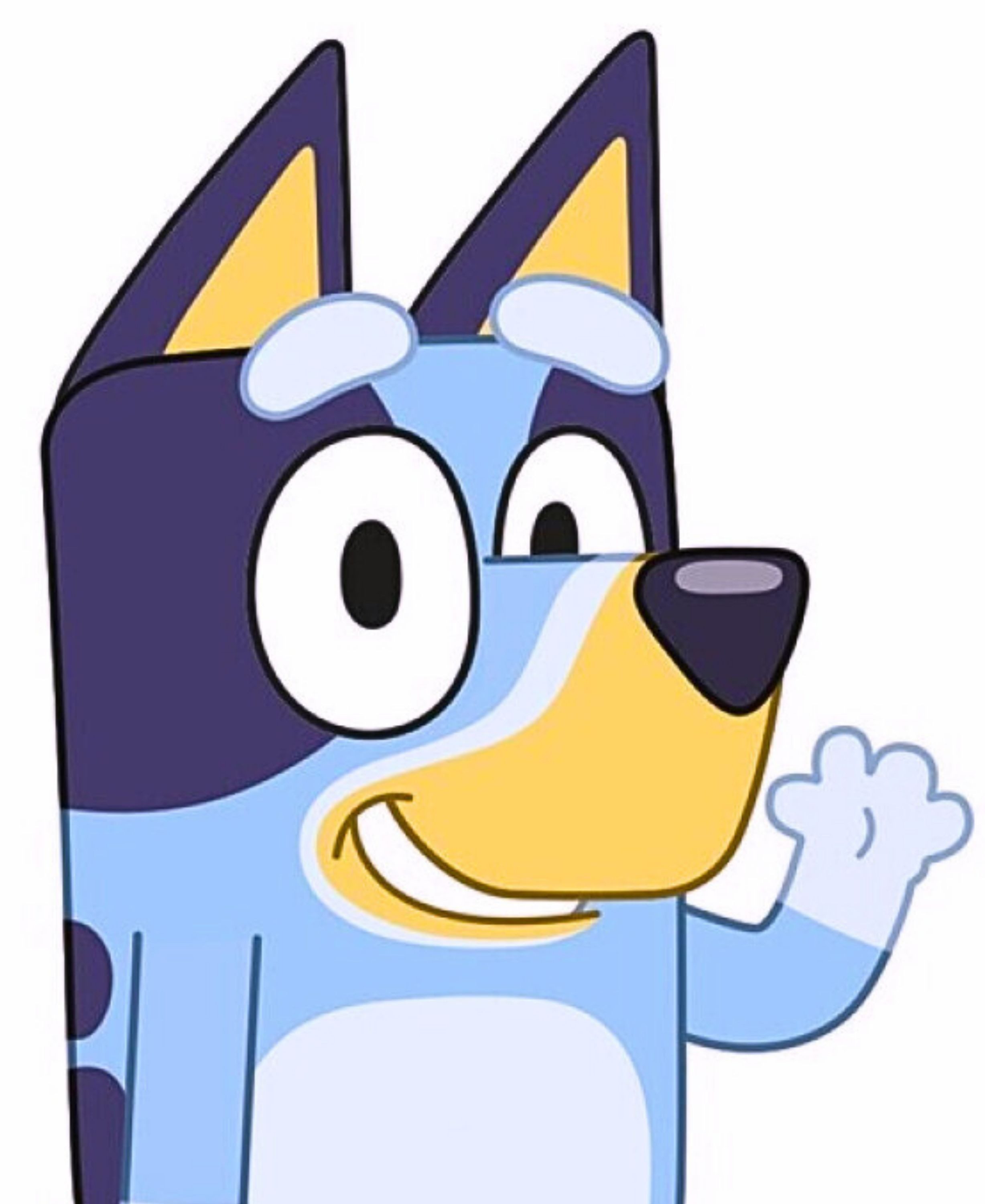 Bluey Dekokissen, Kinder Formkissen Kuschelkissen 32 günstig online kaufen
