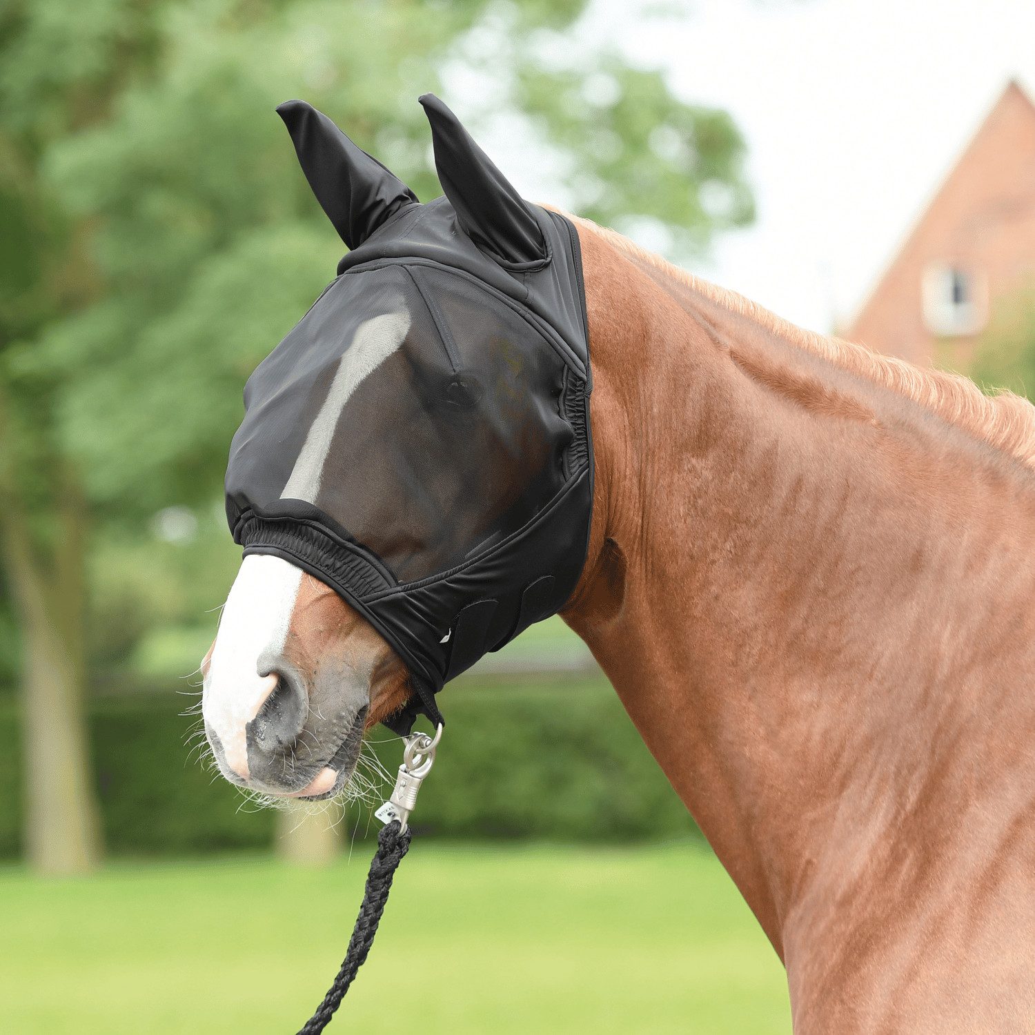 Fliegenmasken Fliegenmaske Fly Buckler