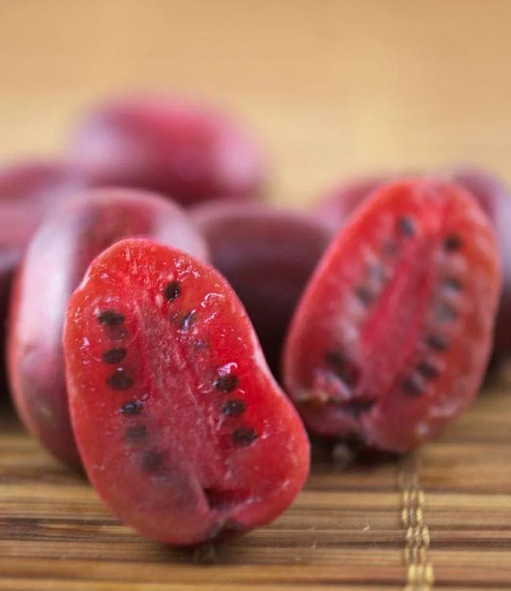 BALDUR Garten Obstpflanze DUO-Kiwi-Turm-Kollektion, 3 St., Strahlengriffel, ertragreich,winterhart, mehrjährig – Bild 3 von 3