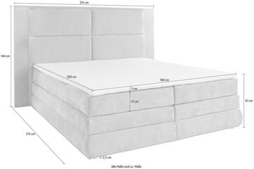 COLLECTION AB Boxspringbett Copenhagen, inklusive Bettkasten, Topper, wahlweise mit LED-Beleuchtung