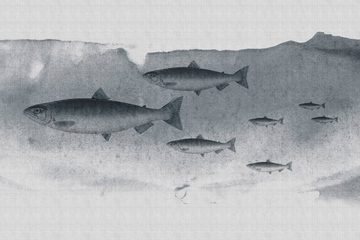 A.S. Création Leinwandbild into the blue 3, Tiere (1 St), Keilrahmen Bild Unterwasser Welt Fische Grau