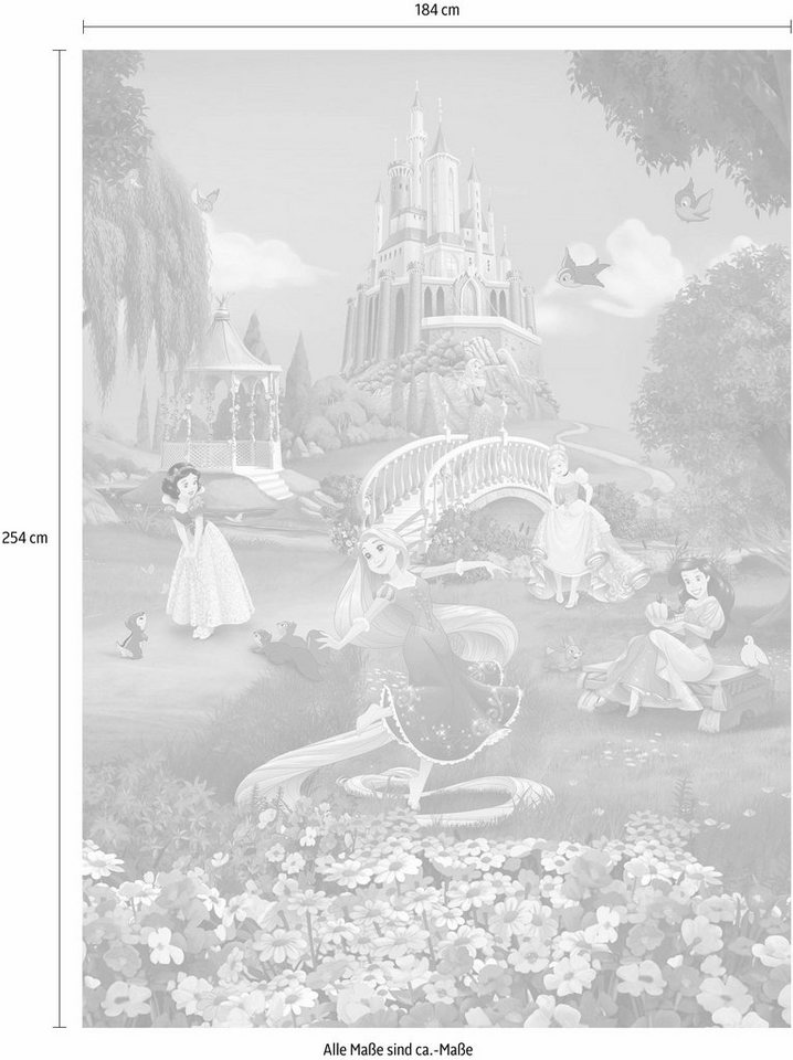 Komar Fototapete »Princess Sunset«, glatt, bedruckt, Comic, (Set), ausgezeichnet lichtbeständig-kaufen