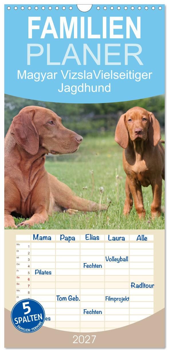 CALVENDO Familienkalender Familienplaner 2027 - Magyar Vizsla - Vielseitiger Jagdhund mit 5 Spal