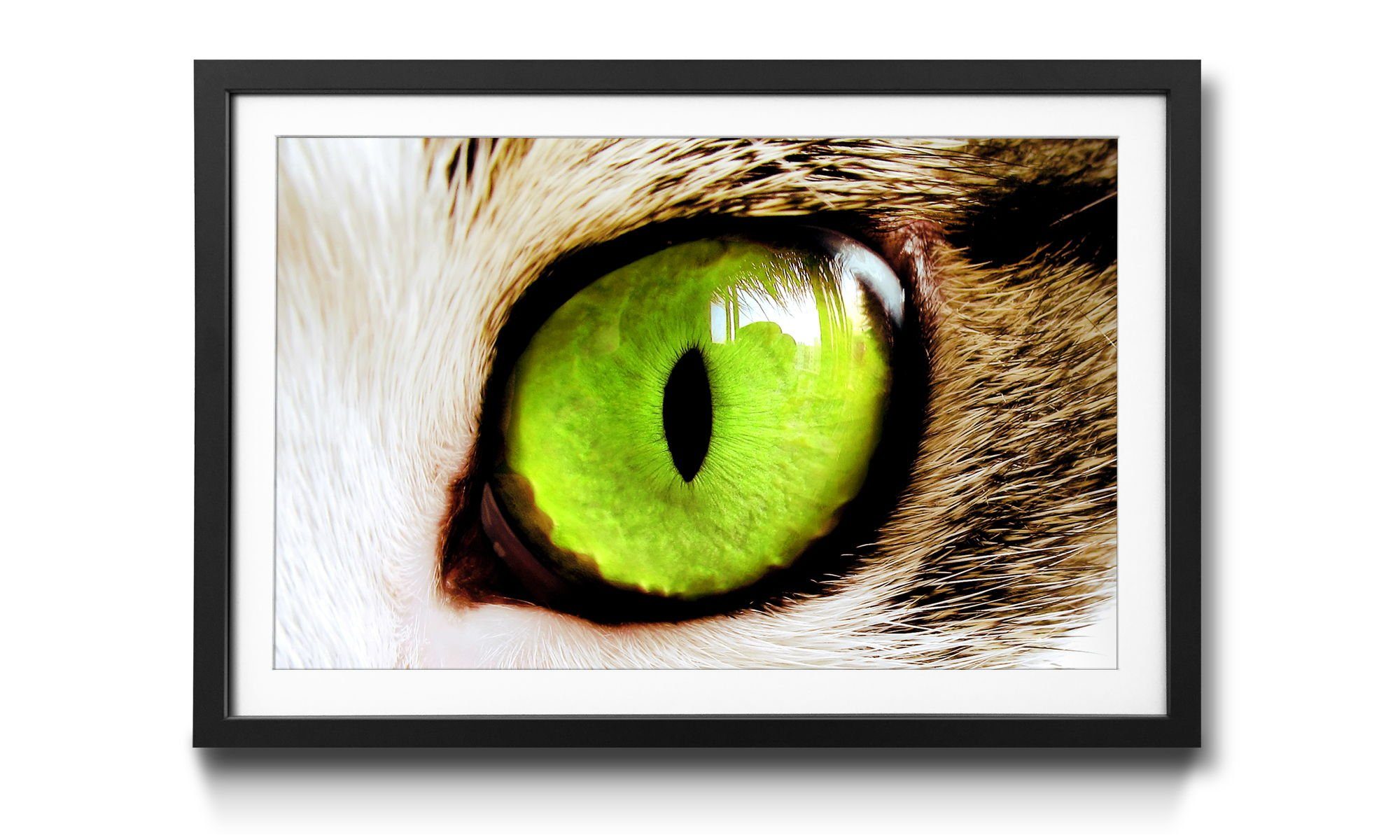 WandbilderXXL Bild mit Rahmen Cats Eye Green, Katze, Wandbild, in 4 Größen erhältlich