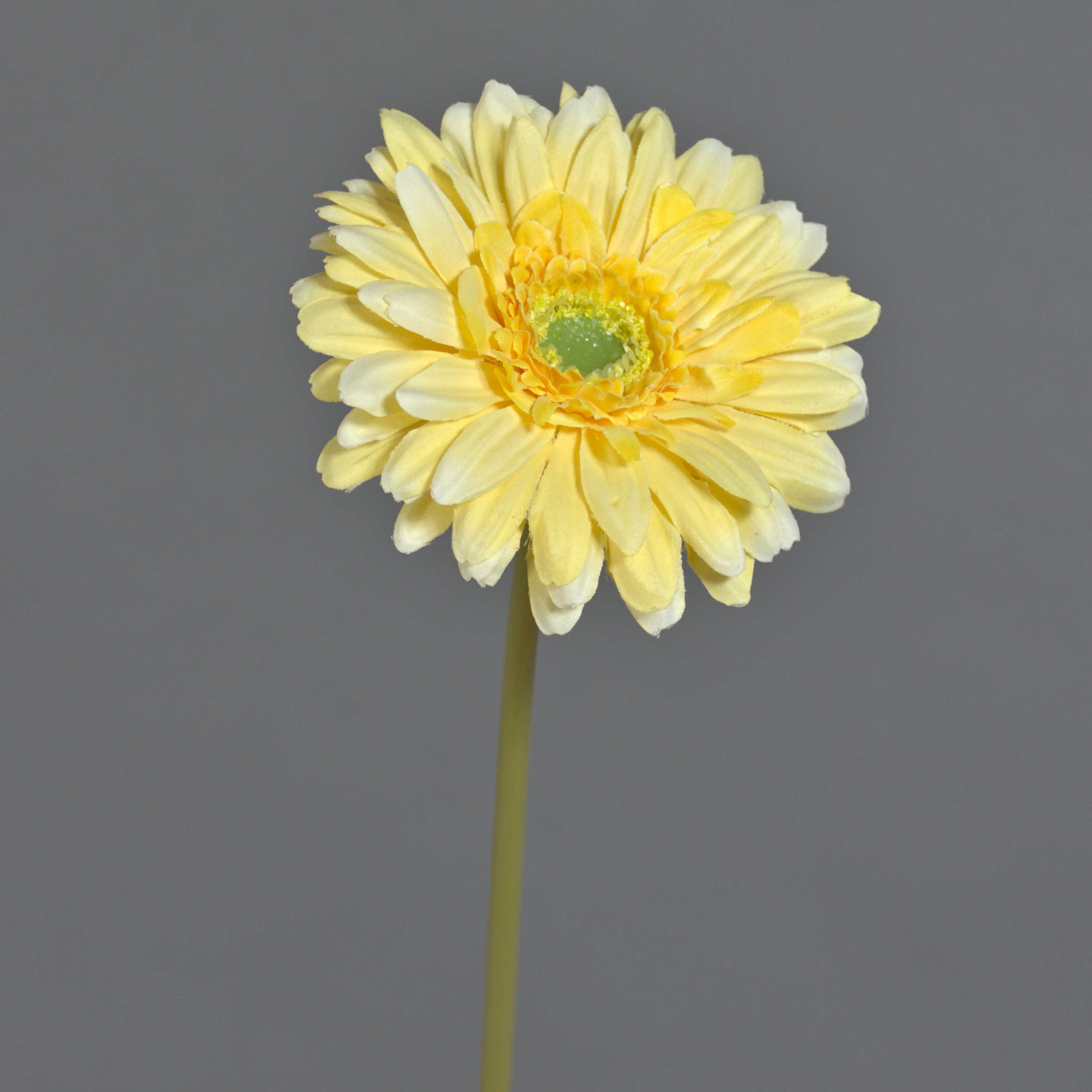 Kunstblume Künstliche Blume Gerbera QIUDONG, gelb, 50 cm Gerbera, artplants, Höhe 50.0 cm