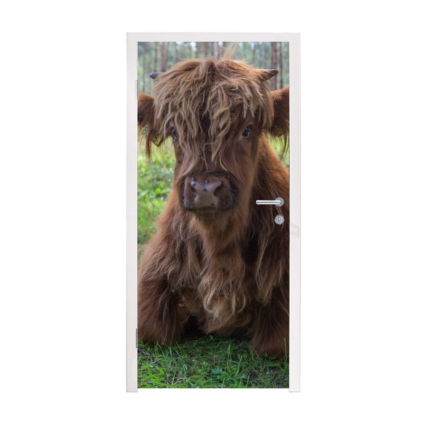 MuchoWow Türtapete Schottischer Highlander - Kröte - Tiere, Matt, bedruckt, (1 St), Fototapete für Tür, Türaufkleber, 75x205 cm | Türtapeten