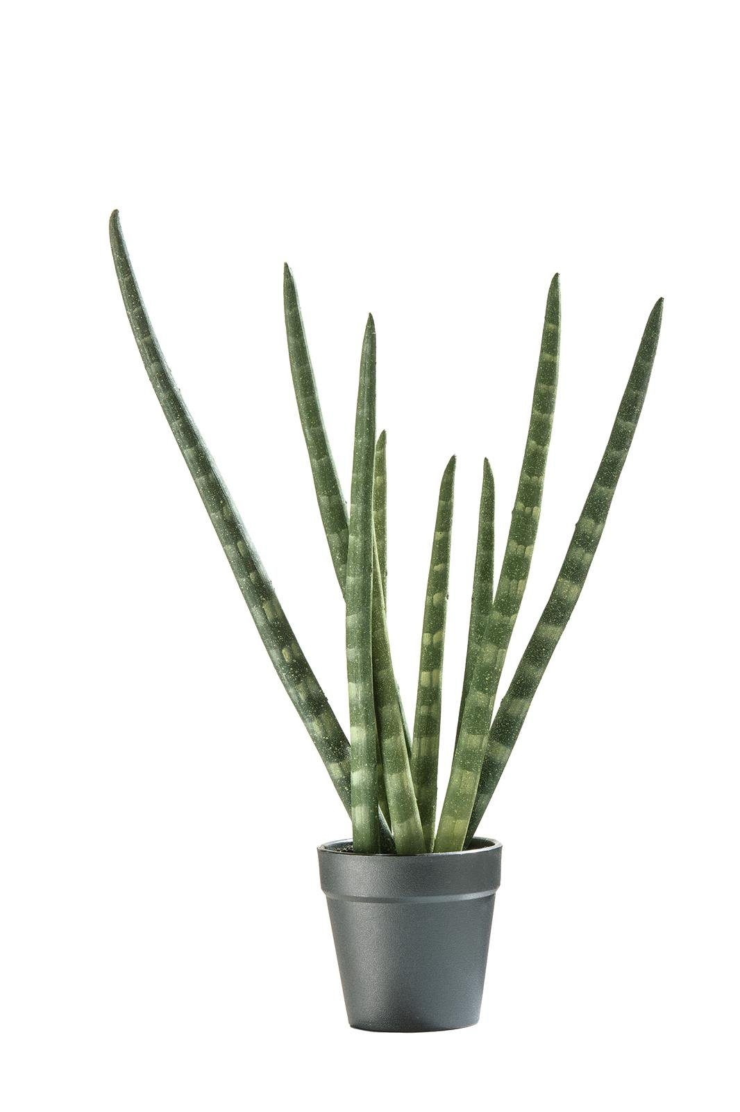 GILDE Dekofigur Gilde Deko Aloe Vera/Topfgrün 2 Stück H = 43 cm. € 97,50