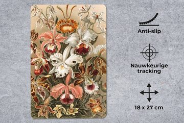 MuchoWow Mauspad Orchidee - Ernst Haeckel (1-St), Gaming, Mousepad, Büro, 18x27 cm, Mausunterlage