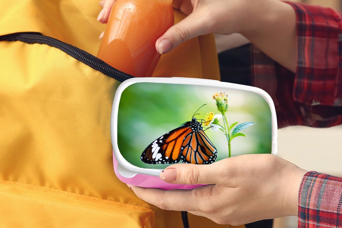 Brotdose für - Schmetterling Kunststoff Blumen Snackbox, Erwachsene, MuchoWow (2-tlg), Brotbox Insekten, Mädchen, rosa Lunchbox Kinder, - Kunststoff,