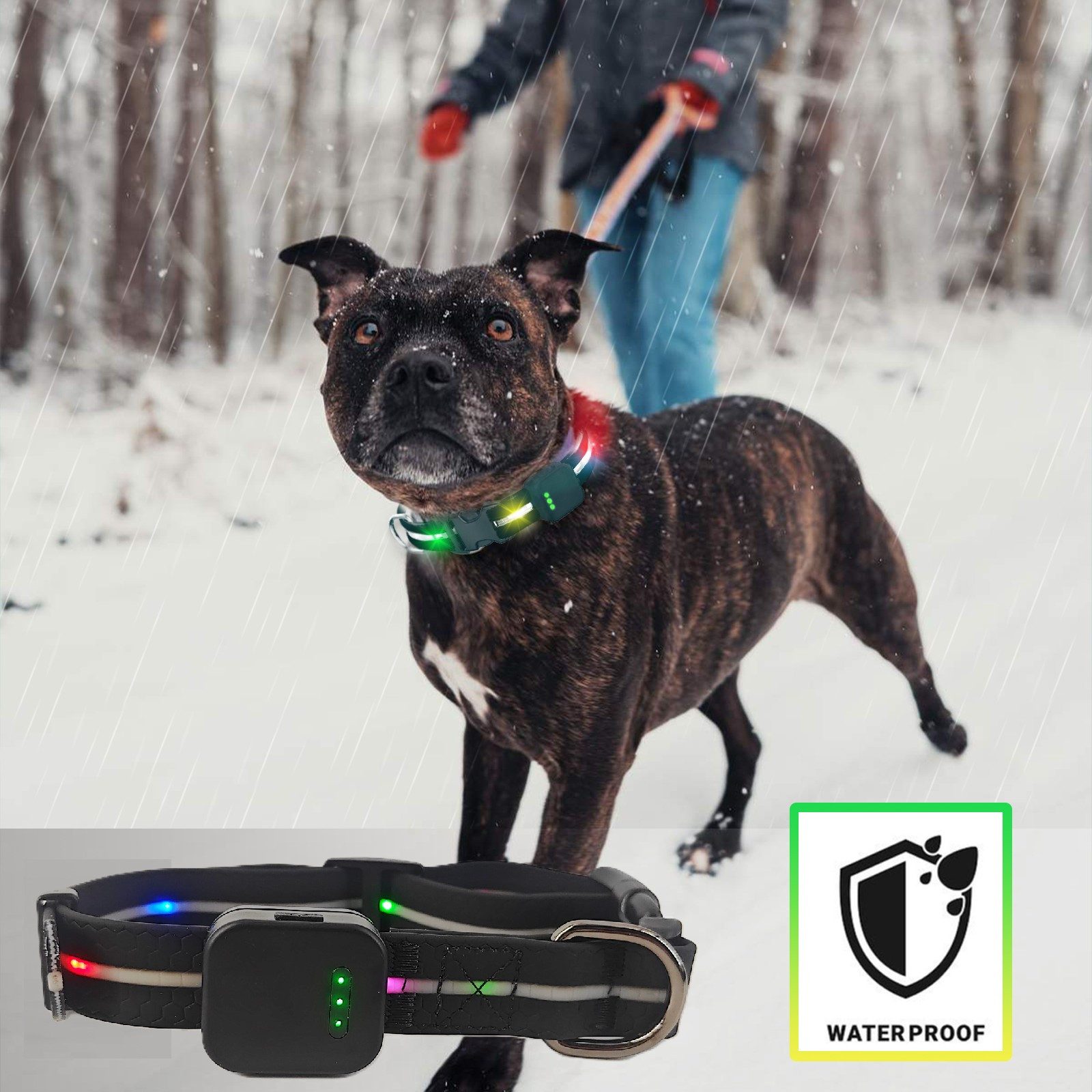 Illes-Laedchen Hunde-Halsband exklusives LED Hundehalsband wasserdicht AKKU günstig online kaufen