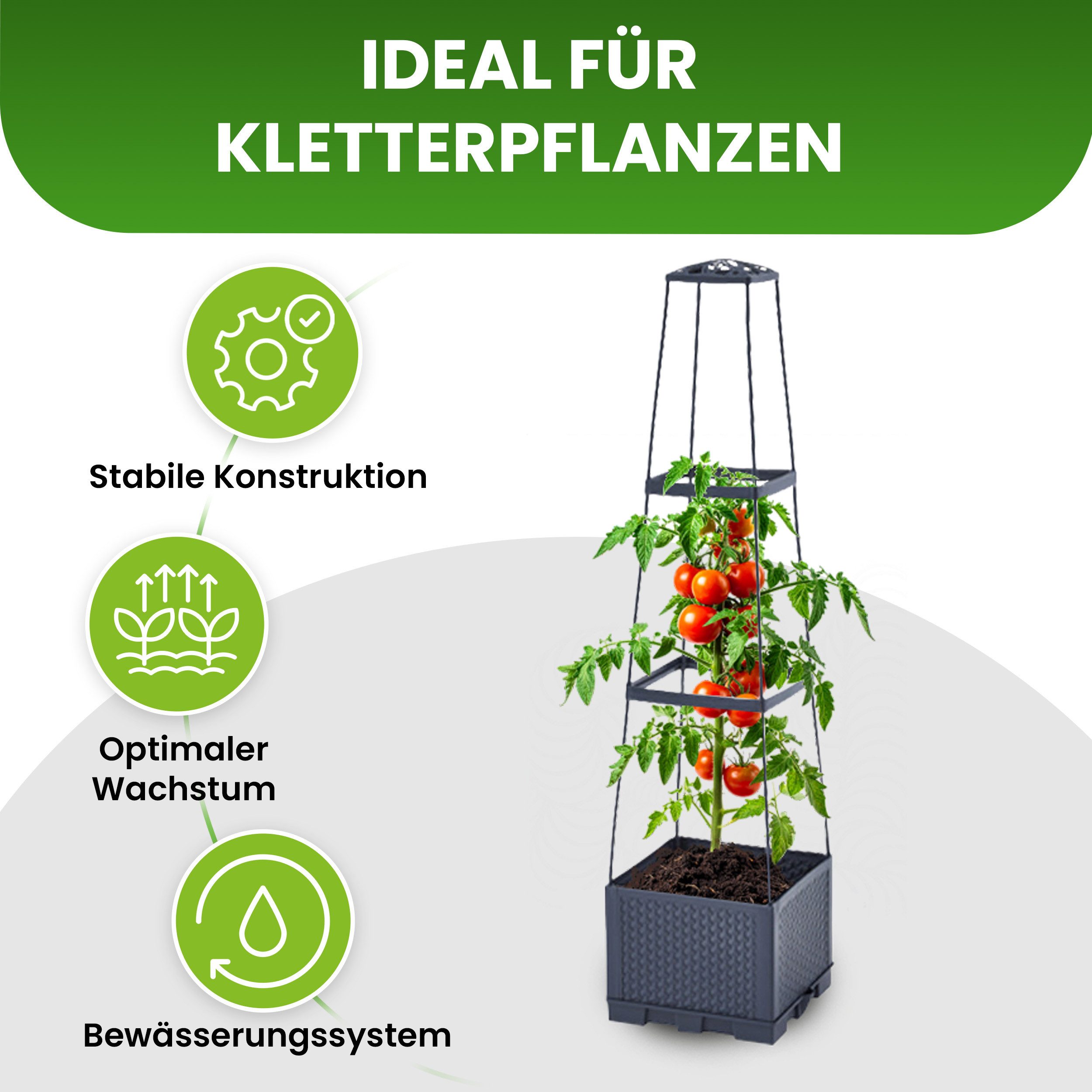 Gartenwelt Riegelsberger Blumenkasten mit Rankhilfe 3 günstig online kaufen