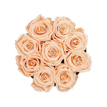 Kunstblume Rosenbox rund mit 9 Infinity Rosen, 1- 3 Jahre haltbar Infinity Rosen, Holy Flowers, Höhe 18 cm