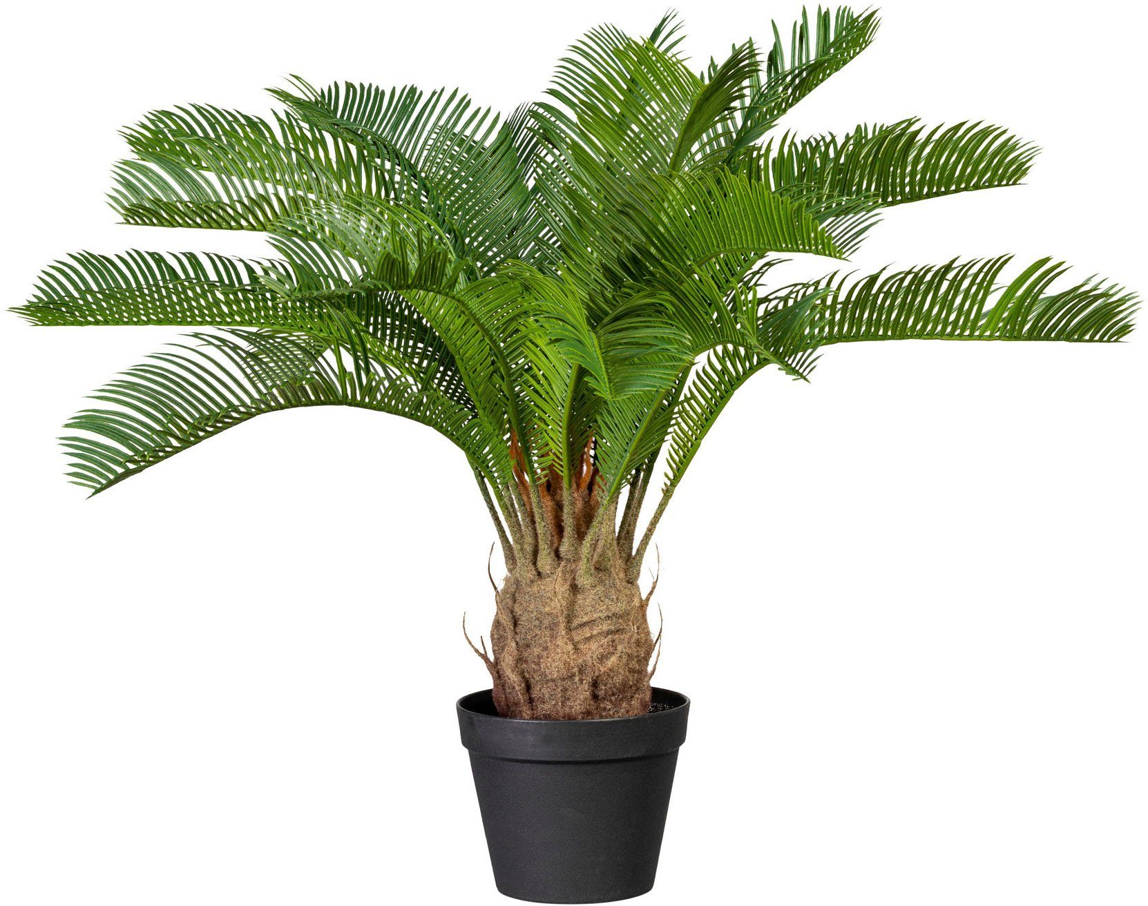 Kunstpalme Cycaspalme, Creativ green, Hhe 60 cm, knstliche Palme, Deko- Palme