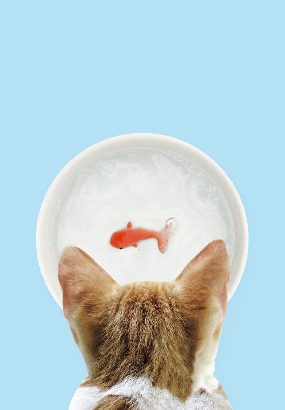 SuckUK Futternapf Goldfisch Katzen Trinknapf, Keramik, ca. Ø 12,4 x 4,3 cm
