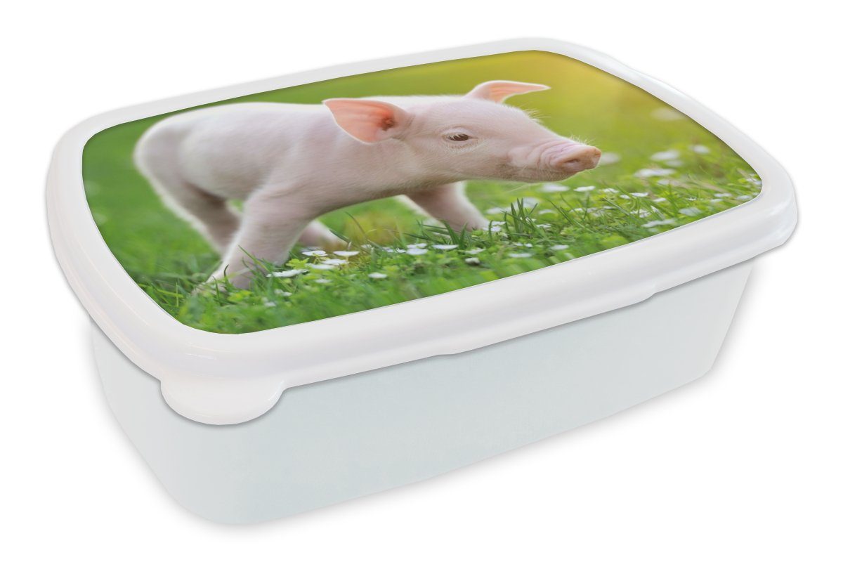 MuchoWow Lunchbox Tiere - Ferkel - Schwein, Kunststoff, (2-tlg), Brotbox für Kinder und Erwachsene, Brotdose, für Jungs und Mädchen weiß