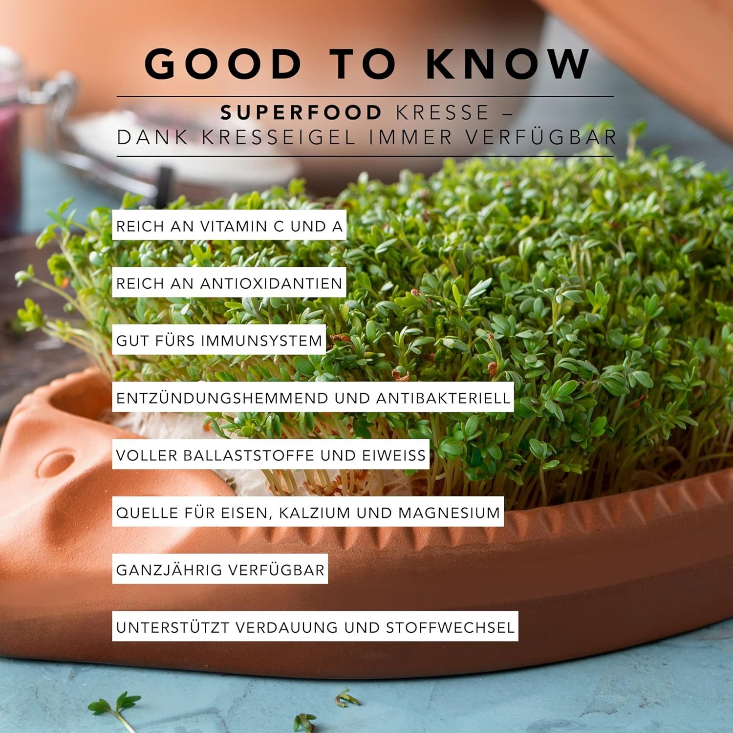 RÖMERTOPF Römertopf Kresse-Igel aus Naturton, Naturton (Set, 1-tlg., Set), Naturton