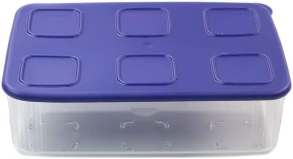 Vorratsdose Tupperware Vorratsdosen Clear Mates 1,6 L