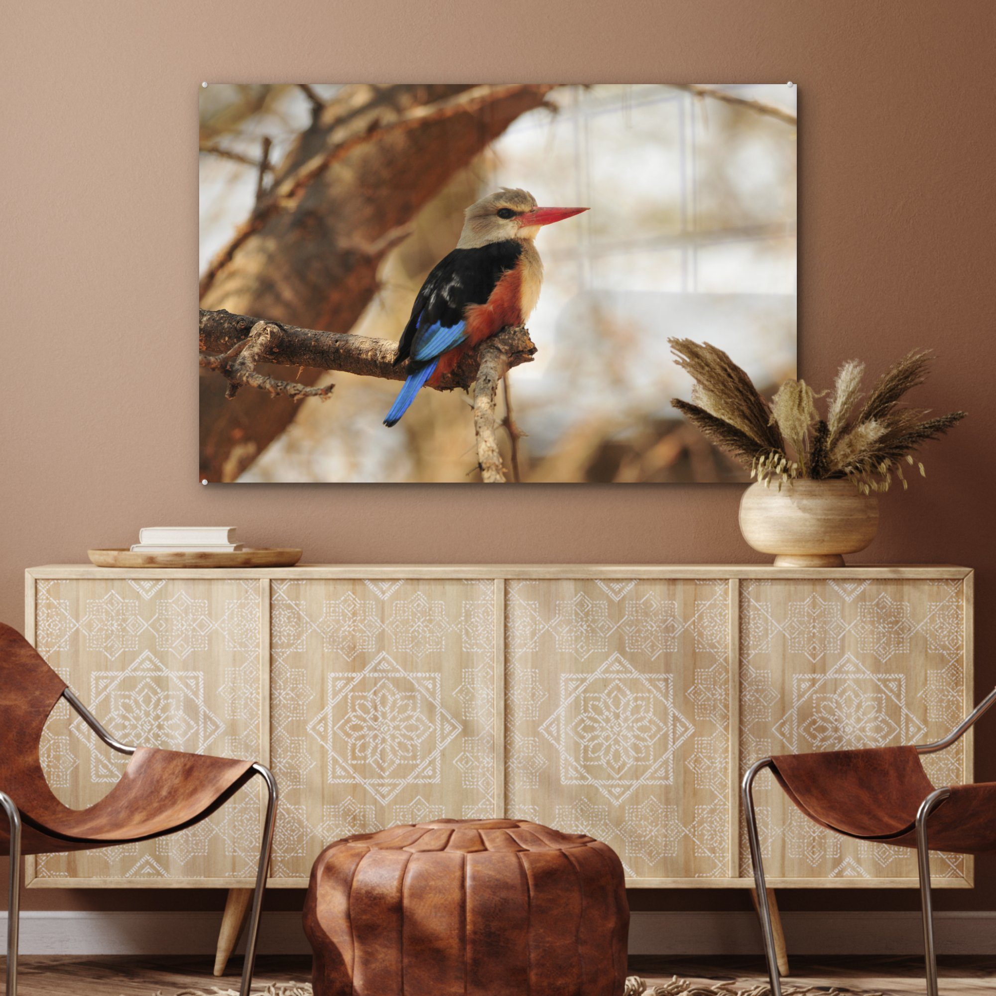 Baumes, St), Acrylglasbilder Wohnzimmer Schlafzimmer MuchoWow & Schatten (1 eines im Acrylglasbild Graukopf-Eisvogel